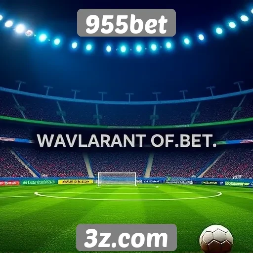 Entrevista com usuários sobre a experiência no 955bet