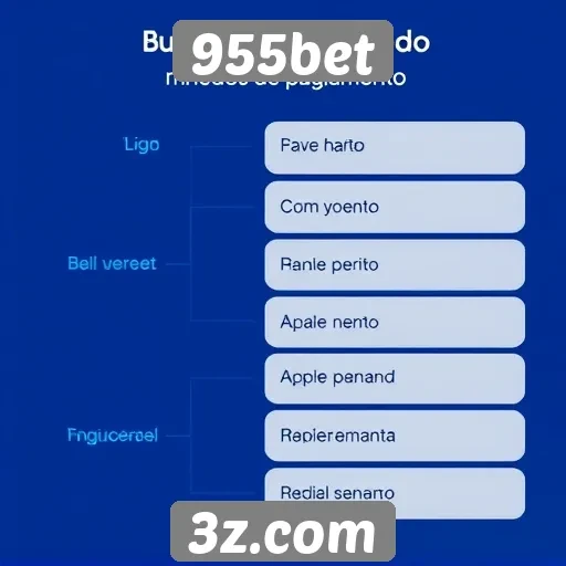 Métodos de pagamento aceitos no site 955bet